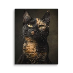 Black and brown cat photo