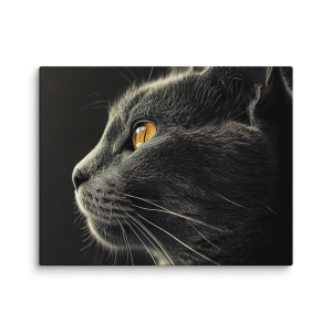 Black cat looking