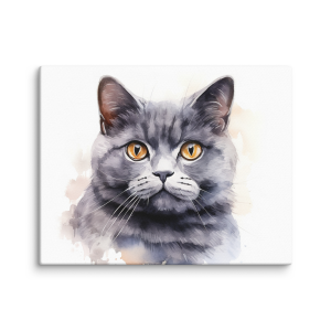 British shortair cat watercolor