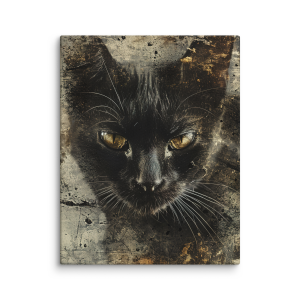 Black cat grunge photography