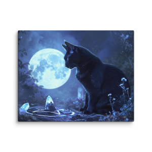 Cat looking an enchanting ritual