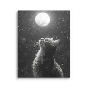 Cat looking at the moon raining