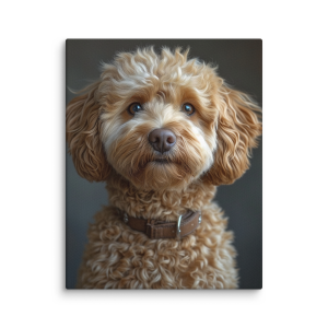 Brown dog photo