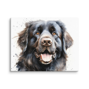 Newfoundland dog watercolor