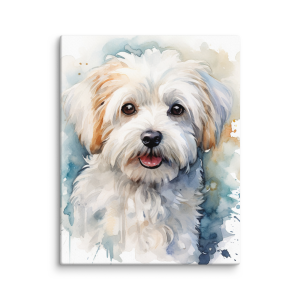 White maltese dog watercolor