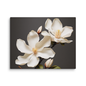 Two white flowers